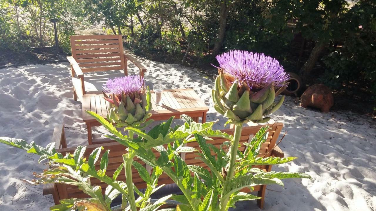 Le Relais De La Praya Bed and Breakfast Lège-Cap-Ferret Exteriör bild
